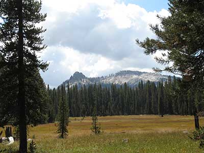 meadows in Sequoia National Park
